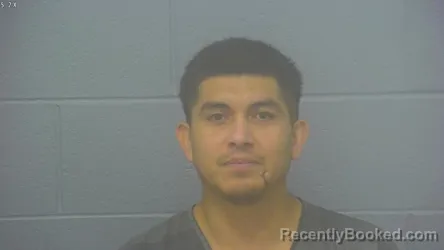 Mugshot of RICHARD AVILA-ARREOLA