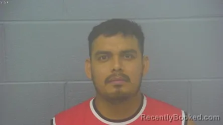 Mugshot of RHODEL JOHANI CAMAL booked in Greene County, Missouri on March 9, 2026