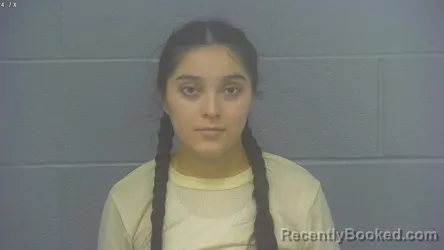 Mugshot of RUTH ELIZABETH HERNANDEZ-HERNANDEZ booked in Greene County, Missouri on March 28, 2026