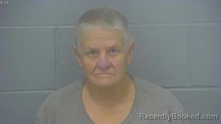 Mugshot of ROBIN REHNA MICHELS booked in Greene County, Missouri on March 13, 2026