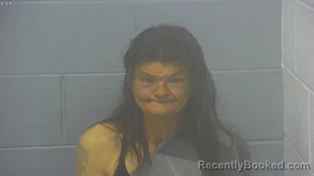 Mugshot of SANDRA LYNN ANDERSON booked in Greene County, Missouri on June 8, 2026