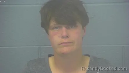 Mugshot of SALINA MARIE BURKS booked in Greene County, Missouri on June 15, 2026