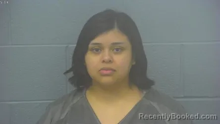 Mugshot of SYLVIA RUBIO-RINCON
