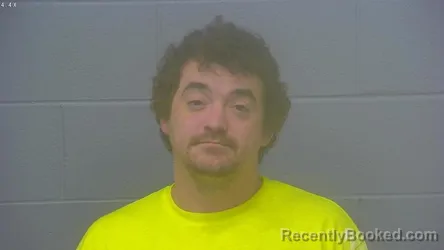 Mugshot of SHANNON ACE ROBISON