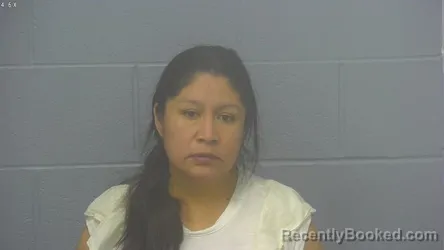 Mugshot of SILVIA TORIZ-MORALES booked in Greene County, Missouri on May 5, 2026