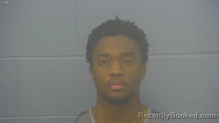 Mugshot of STAEL VLAOVSKY WILLIAMCEAU booked in Greene County, Missouri on March 7, 2026