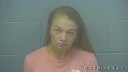 Mugshot of TIFFANY LEE BORK