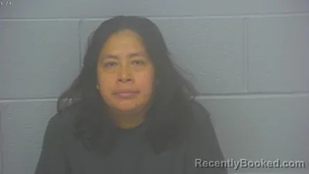 Mugshot of Thelma Mariela Lopez-Alvarez booked in Greene County, Missouri on September 10, 2026