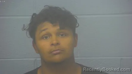 Mugshot of TYLER JAMES DEMETRIOUS MARTIN booked in Greene County, Missouri on May 19, 2026