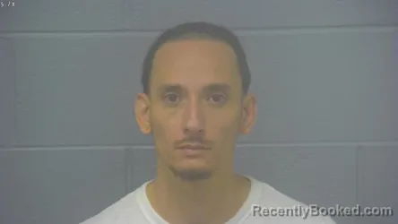 Mugshot of Taylor Andrew Medovich booked in Greene County, Missouri on August 7, 2026