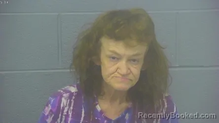 Mugshot of TIFFINEY MONEEK STOUT booked in Greene County, Missouri on April 5, 2026