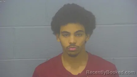 Mugshot of TRE LEQUAN WILLIAMS