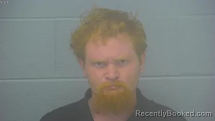 Mugshot of TIMOTHY SEAN WEBB