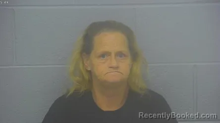 Mugshot of TERRI LYNNE WILSON booked in Greene County, Missouri on March 24, 2026