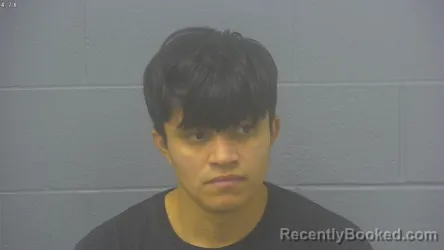 Mugshot of WILMER EDUARDO MENDOZA RAMIREZ booked in Greene County, Missouri on March 23, 2026