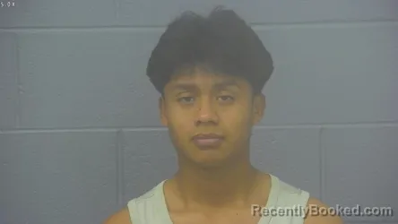 Mugshot of WILMER ALEXANDER TISTA-BACHAN booked in Greene County, Missouri on May 22, 2026