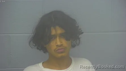 Booking photo from Greene County, Missouri