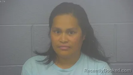 Mugshot of Yulin J Abraham