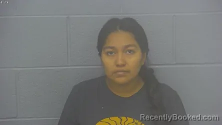 Mugshot of Yesica Nohemi Pastor-Matul booked in Greene County, Missouri on August 3, 2026