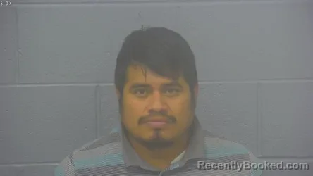 Mugshot of Yesi Anderson Pastor-Gomez booked in Greene County, Missouri on September 24, 2026