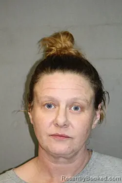 Mugshot of BRANDY MARIE ELLIOTT