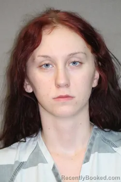 Mugshot of ASHLEY LYNN WYANT