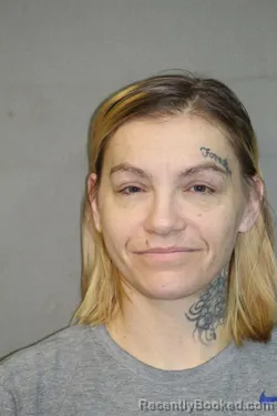 Mugshot of AMANDA NICHOLE RAVELLETTE