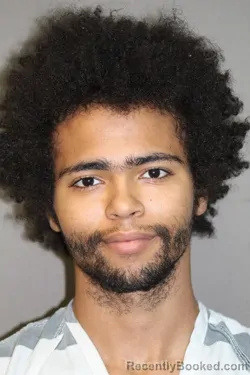 Mugshot of MOSES LEE FERGUSON