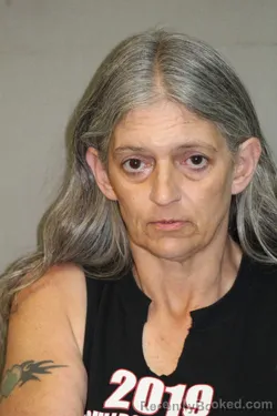 Mugshot of CAINA DEANN CHAPMAN