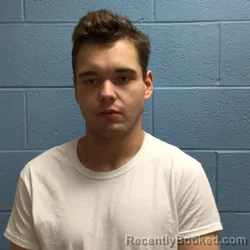 Mugshot of DONAVAN DAVID LEE