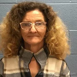 Mugshot of TERRI LYNN ELLIOTT