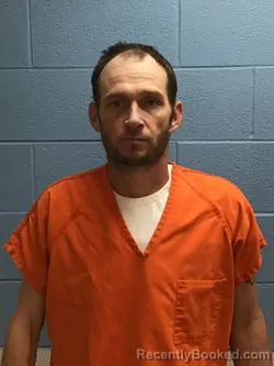 Mugshot of DANNY LEE JONES