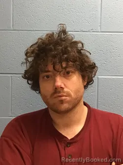 Booking photo from Henry County, Missouri