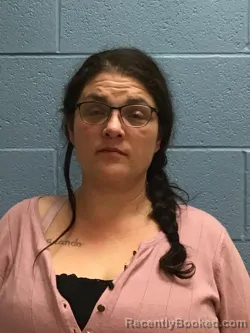 Mugshot of LISA RANAE ANTWILER