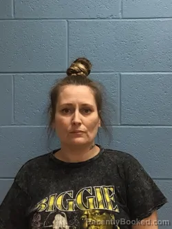 Mugshot of DEANNA DAWN PETTIT