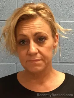 Mugshot of TAMMY LYNN DAVIS