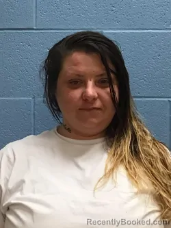 Mugshot of DANIELLE NICHOLE PENNINGTON