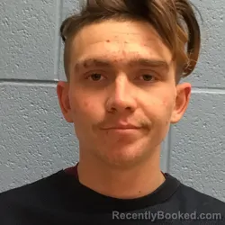 Booking photo from Henry County, Missouri