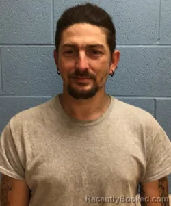 Mugshot of SEAN MICHAEL MADSON booked in Henry County, Missouri on March 29, 2026