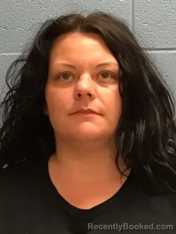 Mugshot of CRISTAL VIOLA BURGESS booked in Henry County, Missouri on April 1, 2026