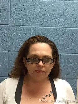 Mugshot of HEATHER RENEE JOHNSON booked in Henry County, Missouri on April 2, 2026