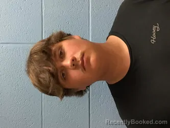 Mugshot of WYATT COLT GEMES booked in Henry County, Missouri on April 19, 2026