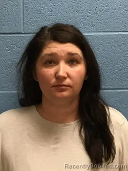 Mugshot of ASHLEY NICOLE RITTER booked in Henry County, Missouri on April 21, 2026