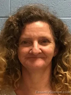 Mugshot of TERRI LYNN ELLIOTT booked in Henry County, Missouri on April 24, 2026