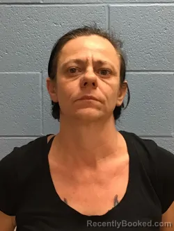 Mugshot of CONNIE MARIE FENSKE booked in Henry County, Missouri on April 28, 2026