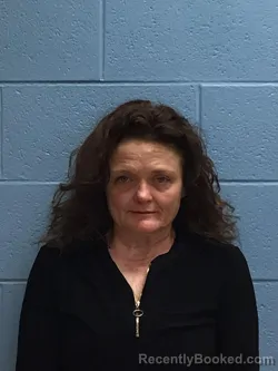 Mugshot of NINA FAYLENE SUTCLIFFE booked in Henry County, Missouri on July 9, 2026