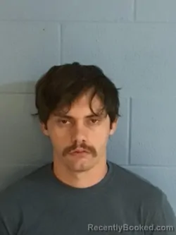 Mugshot of Tyler Christian Cramer booked in Henry County, Missouri on August 20, 2026