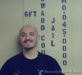 Mugshot of BRIAR AUSTIN MCCLAIN