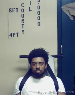 Mugshot of JIMMIE LEE WILSON