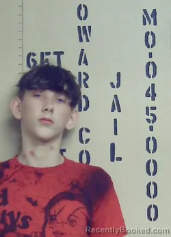 Mugshot of LELAND WAYDE McCLELLAND